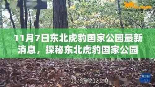 探秘东北虎豹国家公园，小巷深处的独特小店最新消息曝光（11月7日）