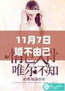 婚不由己,温馨日常的甜蜜篇章(最新章节)