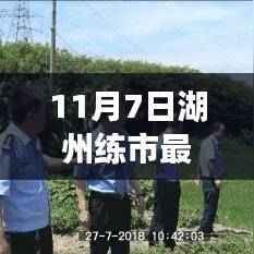 湖州练市最新招工信息汇总,热门职位与就业指南(11月7日)