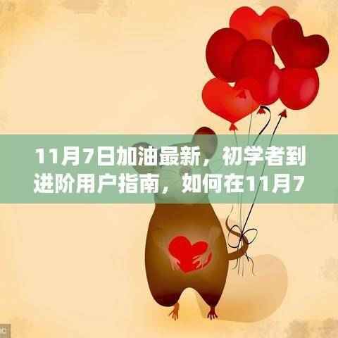 初学者到进阶用户指南,11月7日加油任务与技能提升全面步骤详解
