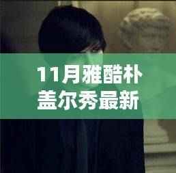 雅酷朴盖尔秀11月最新动态聚焦,三大看点揭秘其精彩瞬间