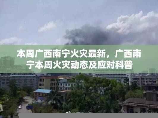 广西南宁本周火灾最新动态,火灾科普与应对进展