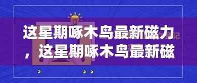啄木鸟最新磁力全面评测与介绍