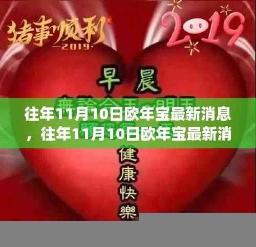 往年11月10日欧年宝最新消息全面解读与观点碰撞