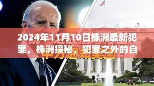 株洲探秘,犯罪背后的自然美景之旅(2024年11月10日最新报道)
