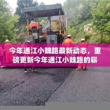 通江小魏路最新动态揭秘,今年重磅更新,你不可错过的崭新篇章