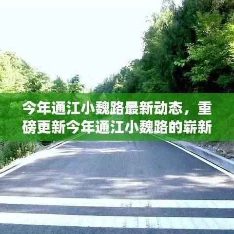 通江小魏路最新动态揭秘,今年重磅更新,你不可错过的崭新篇章