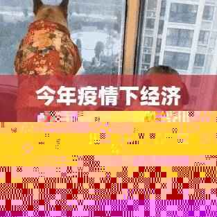 多维度深度评测与介绍,今年疫情下经济的最新动态