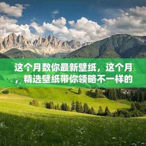 精选壁纸,领略独特风景,本月新壁纸欣赏