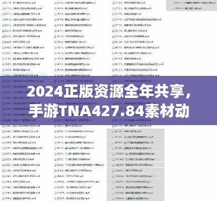 2024正版资源全年共享,手游TNA427.84素材动态解答方案