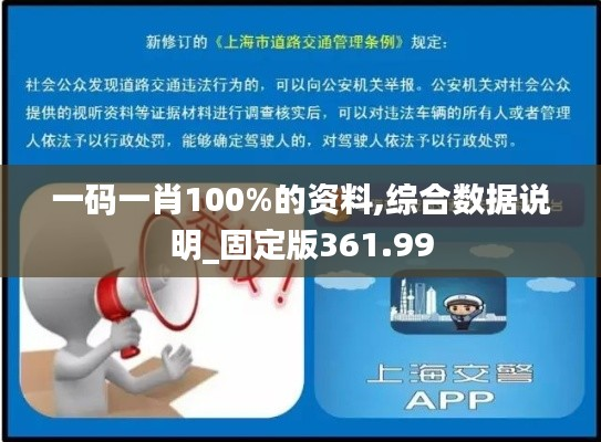 一码一肖100%的资料,综合数据说明_固定版361.99