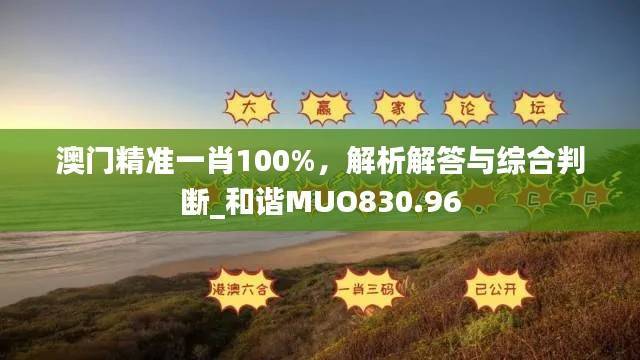 澳门精准一肖100%,解析解答与综合判断_和谐MUO830.96