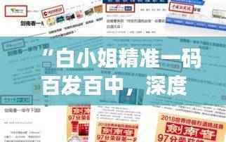 “白小姐精准一码百发百中,深度揭秘安全策略之领航版IMH805.76”