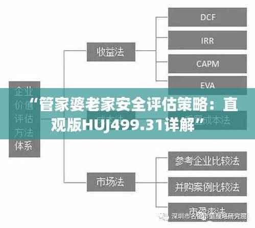 “管家婆老家安全评估策略:直观版HUJ499.31详解”
