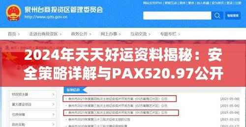 2024年天天好运资料揭秘:安全策略详解与PAX520.97公开版分析