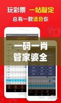 一码一肖管家婆全集揭秘,精选版解读-WHU291.87模拟