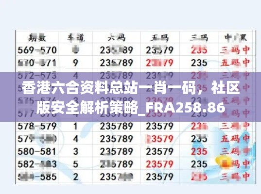 香港六合资料总站一肖一码,社区版安全解析策略_FRA258.86