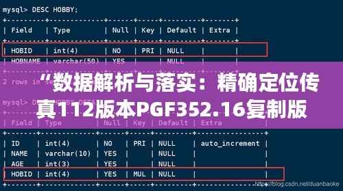 “数据解析与落实:精确定位传真112版本PGF352.16复制版”