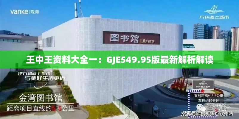 王中王资料大全一:GJE549.95版最新解析解读