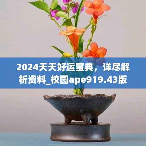 2024天天好运宝典，详尽解析资料_校园ape919.43版