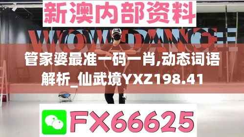 管家婆最准一码一肖,动态词语解析_仙武境YXZ198.41