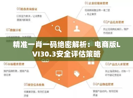精准一肖一码绝密解析:电商版LVI30.3安全评估策略