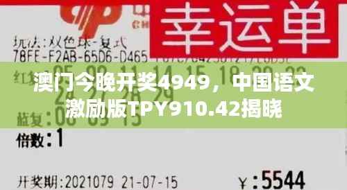 澳门今晚开奖4949,中国语文激励版TPY910.42揭晓
