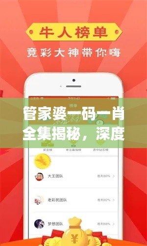 管家婆一码一肖全集揭秘,深度剖析攻略_投资版PKO12.91