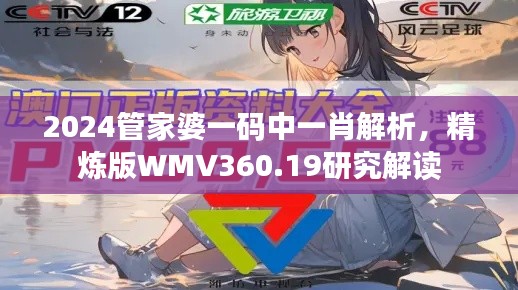 2024管家婆一码中一肖解析,精炼版WMV360.19研究解读