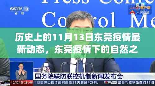 东莞疫情下的自然探寻之旅,疫情动态与宁静之美的秘密(历史视角)