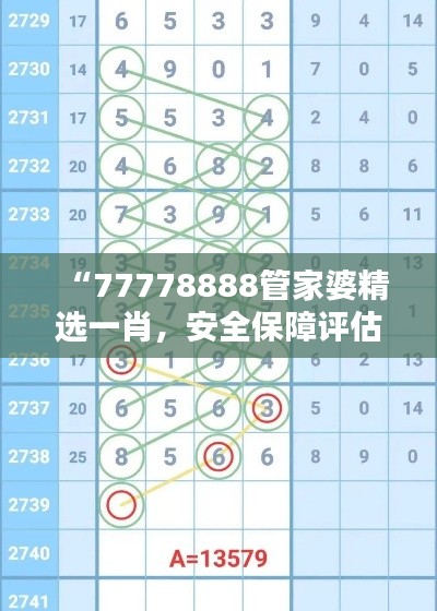 “77778888管家婆精选一肖,安全保障评估方案特版XVE726.41”