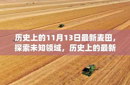 揭秘未知领域,历史上的麦田探索之旅(适合初学者与进阶用户)