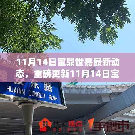 11月14日宝鼎世嘉独家揭秘,最新动态与精彩瞬间不容错过
