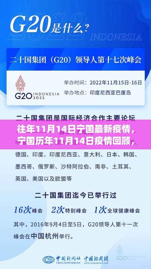 宁国历年11月14日疫情回顾，见证坚守与希望的历程