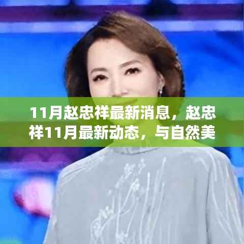 赵忠祥11月最新动态,自然美景中的心灵之旅