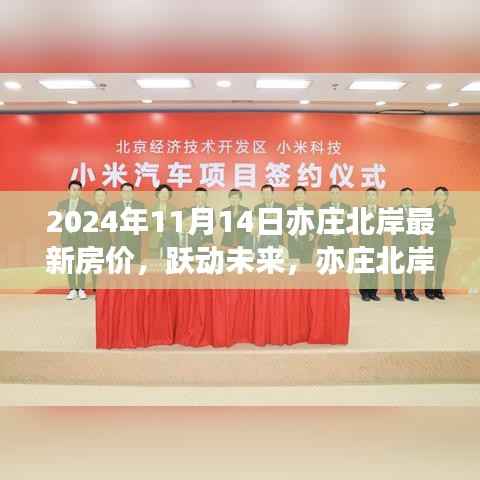 跃动未来，亦庄北岸房价变迁背后的励志故事与梦想拥抱学习