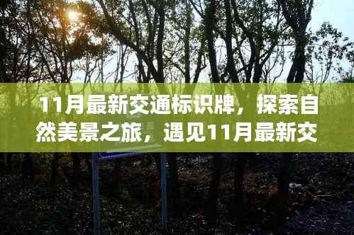 11月最新交通标识牌,自然美景之旅的心灵奇妙冒险启程了!