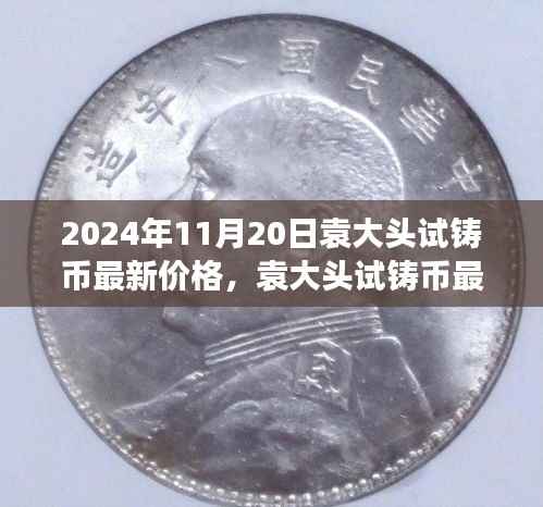 袁大头试铸币最新价格及自然美景探索之旅,寻找内心的宁静与平和