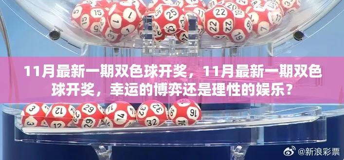 双色球开奖揭晓,博弈与娱乐之间的幸运探索?