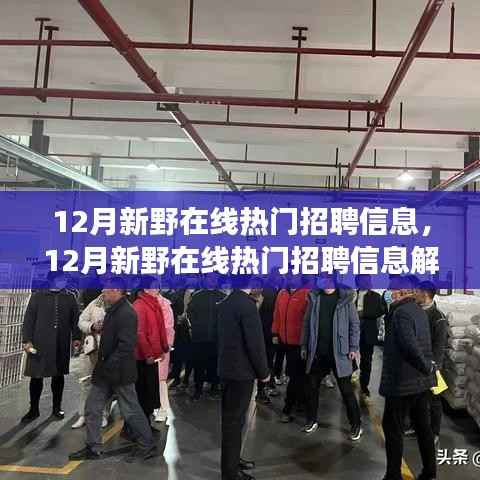 12月新野在线热门招聘信息解析与洞察，最新职位信息一网打尽