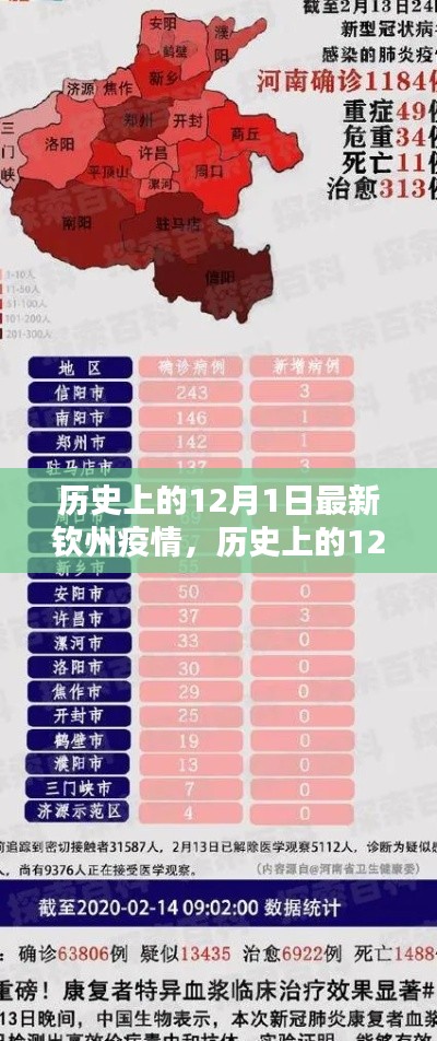 历史上的12月1日钦州疫情深度解析与介绍