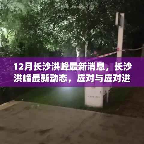 长沙洪峰动态更新,应对进展分析与科普解读