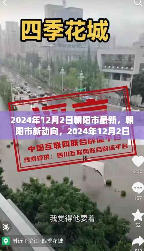 朝阳市新动向深度解析,最新视角与观点阐述(2024年12月2日)