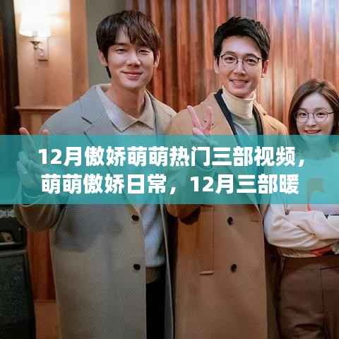 12月傲娇萌萌热门视频,暖心故事的温馨之旅