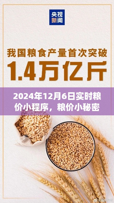 揭秘粮价小秘密,一场温馨有趣的粮食之旅,实时粮价小程序在等你
