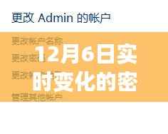 12月6日密码之谜,友情与陪伴的温暖故事