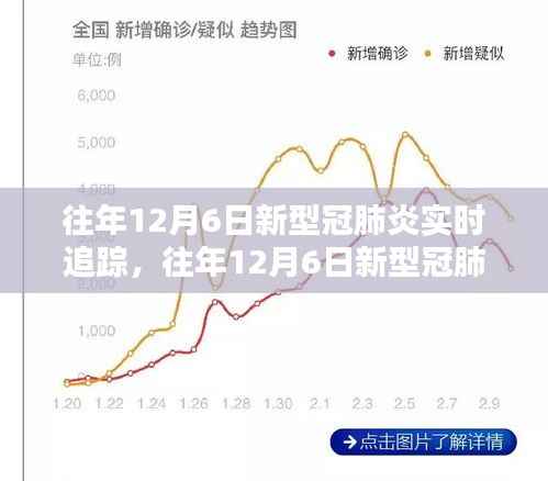 往年12月6日新型冠肺炎实时追踪步骤指南,初学者与进阶用户的必备指南
