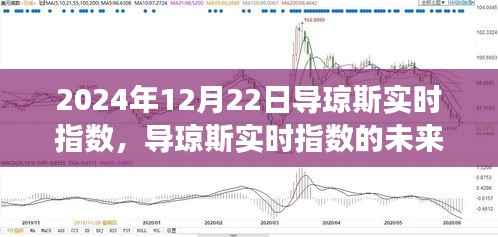 导琼斯实时指数,未来展望与深度解析(2024年12月22日视角)