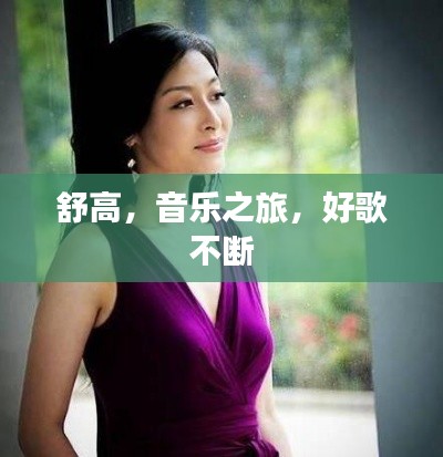舒高,音乐之旅,好歌不断