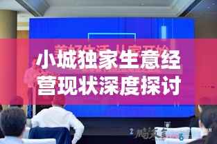 小城独家生意经营现状深度探讨，机遇与挑战并存